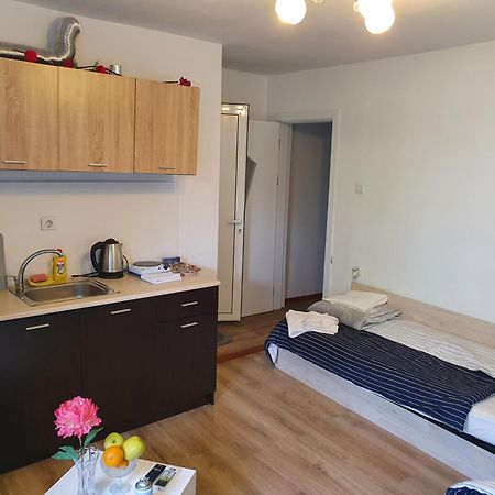 The Center Apartments Comfort 산단스키 객실 사진
